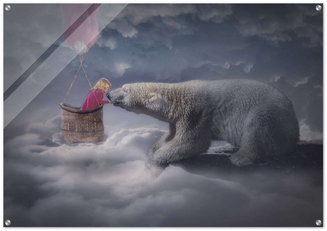 Veggbilde på pleksiglass av en jentes drøm med isbjørn